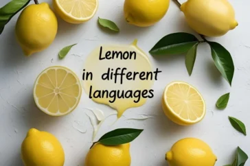 lemon in different languages