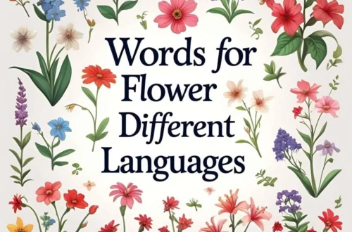 words for flower in different languages
