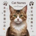cat names in different languages