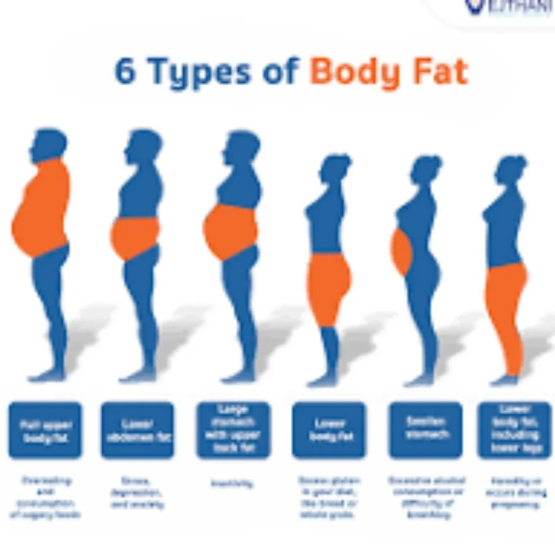 fat in different languages