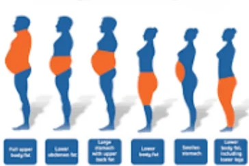 fat in different languages