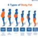 fat in different languages