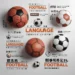 football in different languages