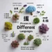 phrases in different languages