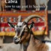 how do you say goat in spanish